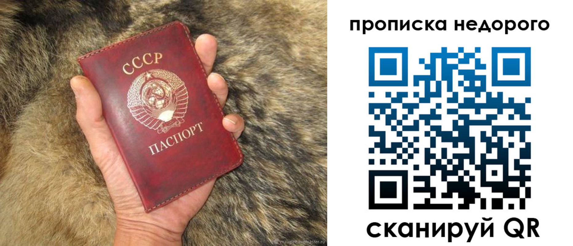 прописка для школы в Кургане